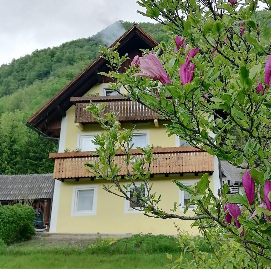 Apartment House Andrej Bohinj Dış mekan fotoğraf