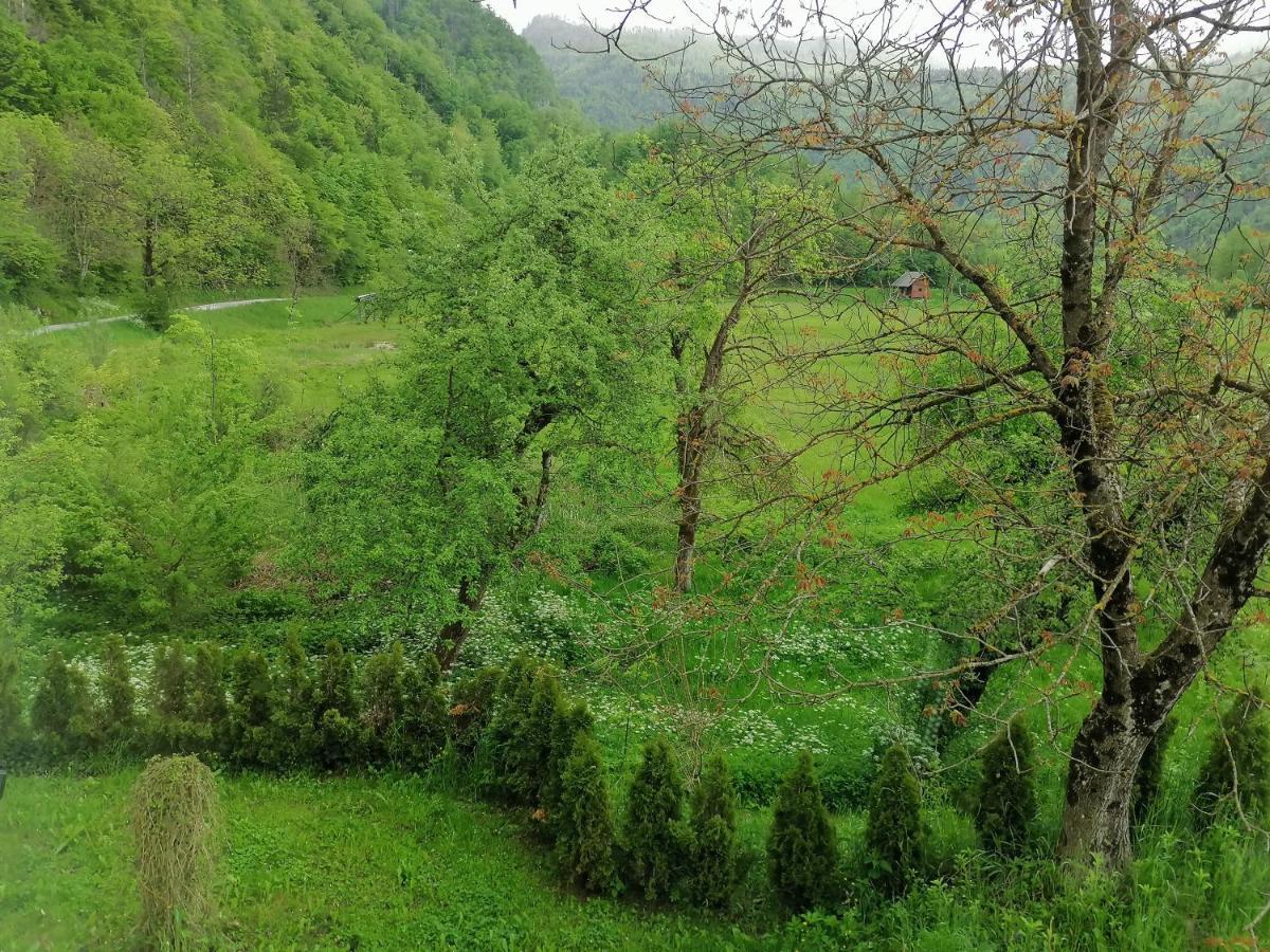 Apartment House Andrej Bohinj Dış mekan fotoğraf
