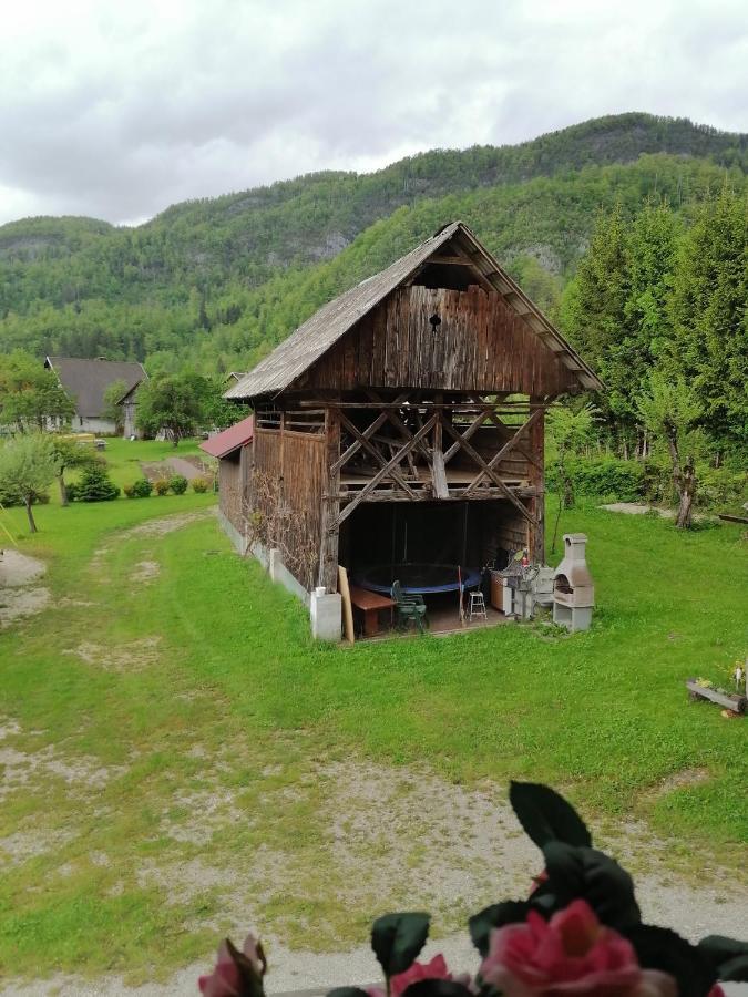 Apartment House Andrej Bohinj Dış mekan fotoğraf