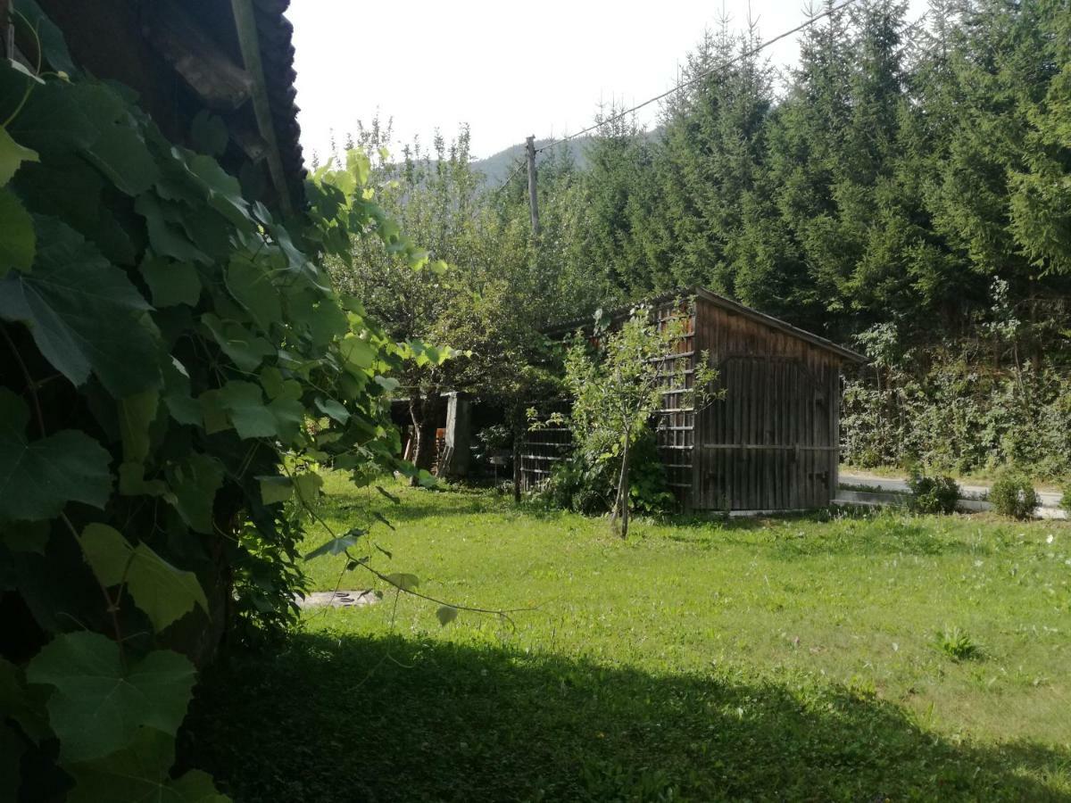 Apartment House Andrej Bohinj Dış mekan fotoğraf