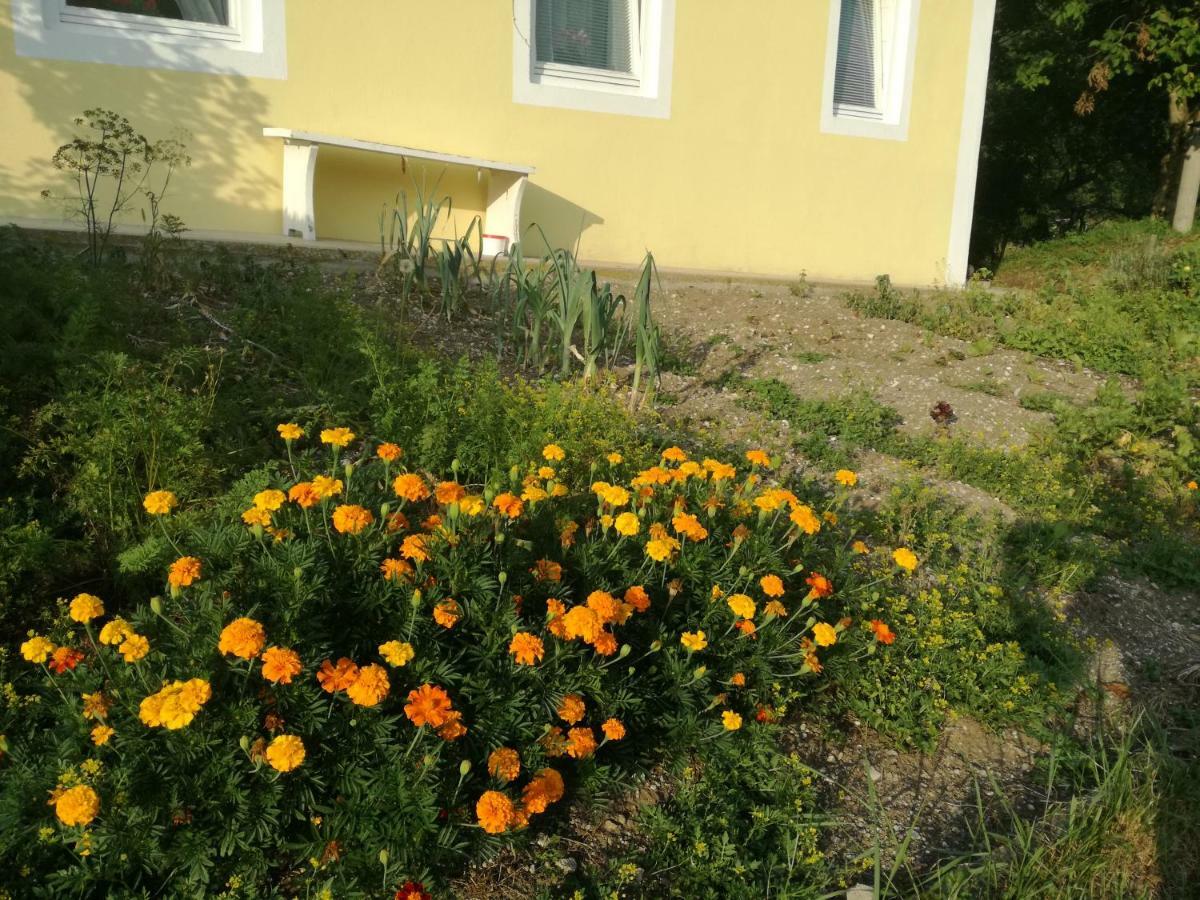 Apartment House Andrej Bohinj Dış mekan fotoğraf