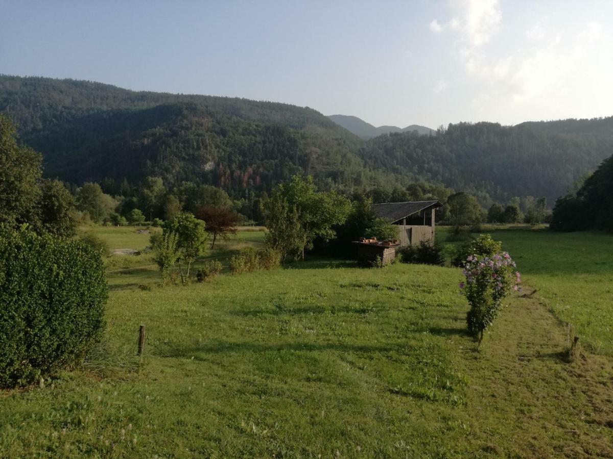 Apartment House Andrej Bohinj Dış mekan fotoğraf