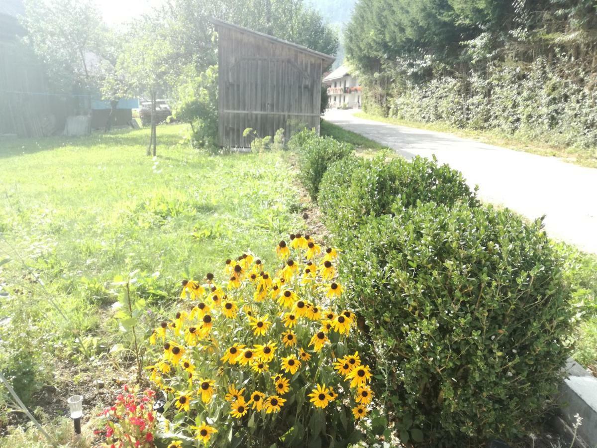 Apartment House Andrej Bohinj Dış mekan fotoğraf